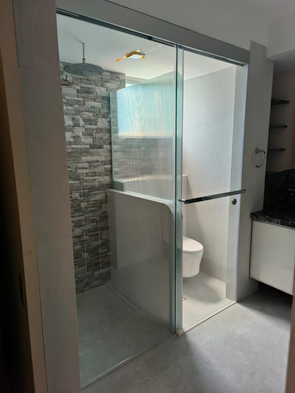 Condo Toilet renovation @ Elias Green